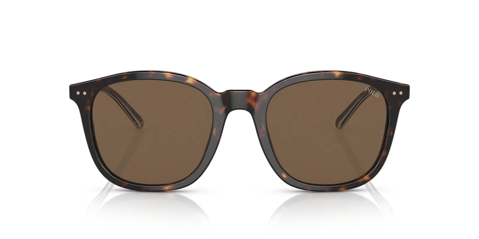 Polo 4188F Sunglasses - view 8